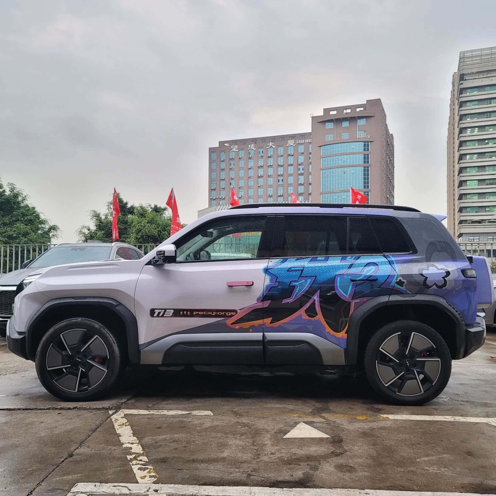 BYD Ti3